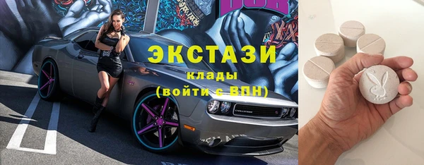 хмурый Бородино