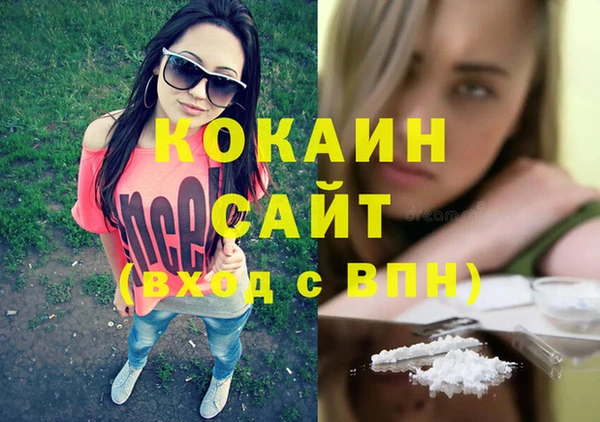 хмурый Бородино