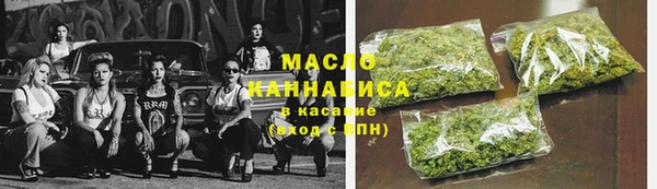 хмурый Бородино