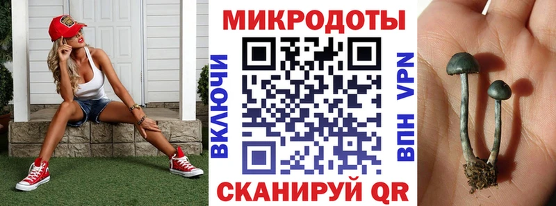 Псилоцибиновые грибы Psilocybe  Рыбинск 